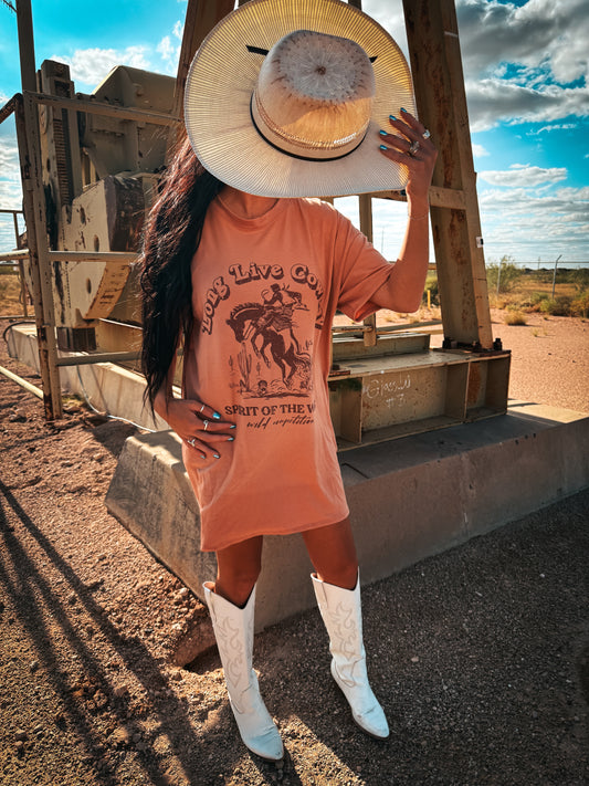 Long live Cowboys dress