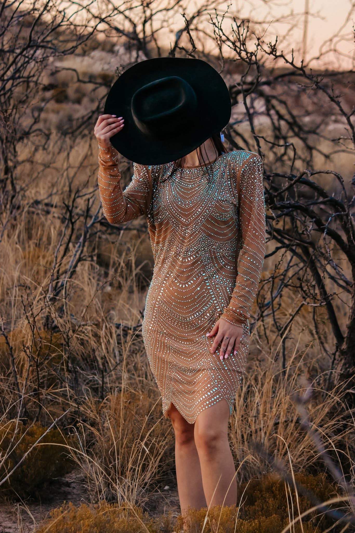 Gold rhinestone dress